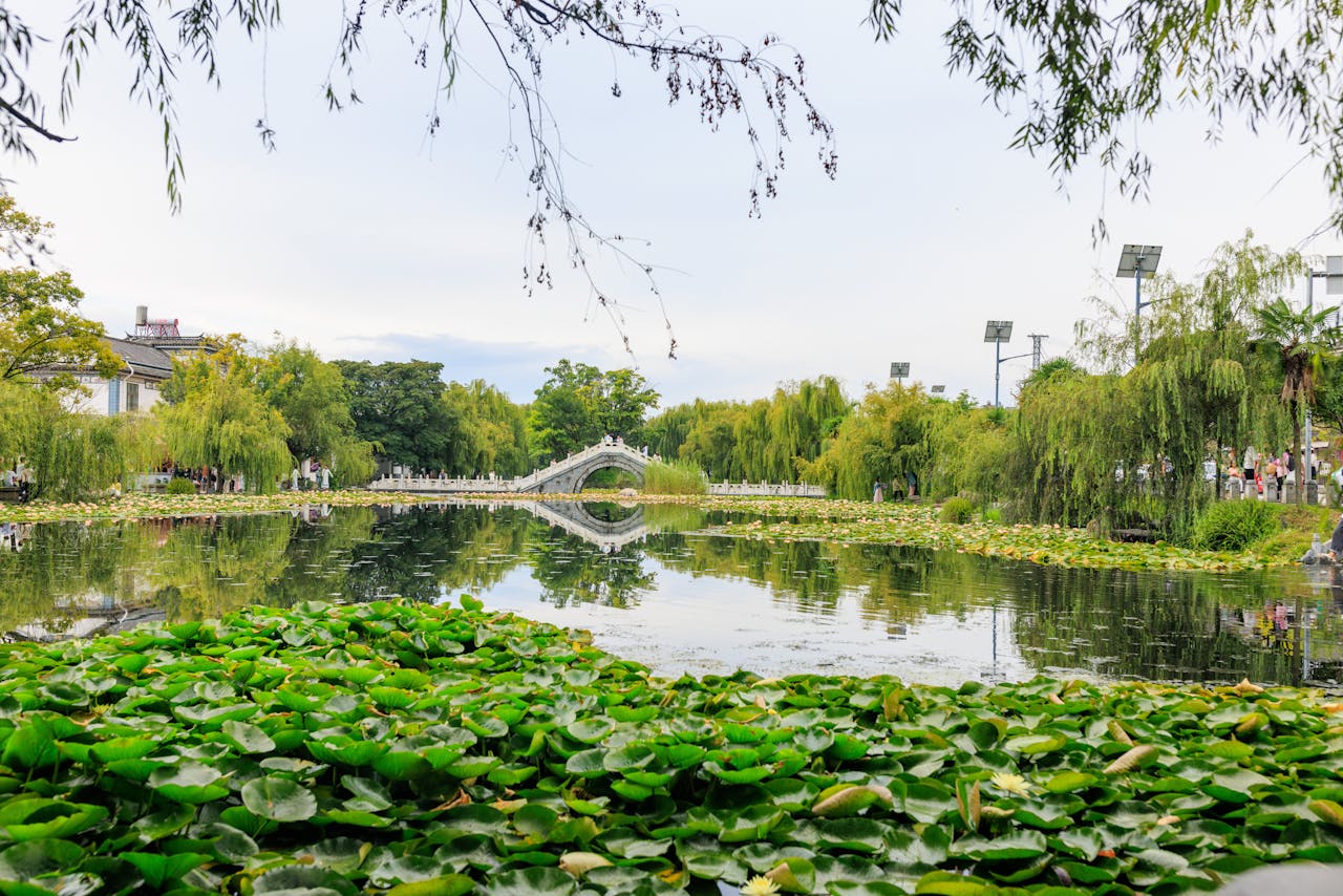 Peaceful garden scene with an arched bridge reflecting in water, surrounded by lush greenery.